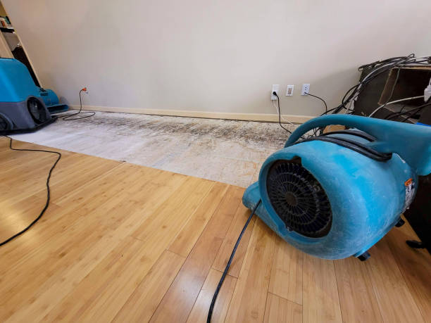 Professional Flood Damage Cleanup technician working in Bryan, TX